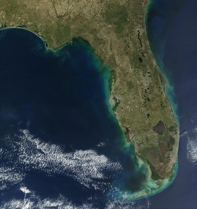In this satellite image, bloom of the toxic alga Karenia brevis is visible along the west coast of Florida by National Aeronautics and Space Administration National Aeronautics and Space Administration